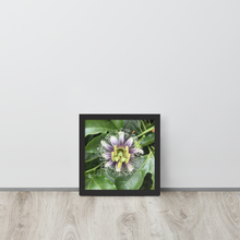 Load image into Gallery viewer, Lilikoi - Framed poster