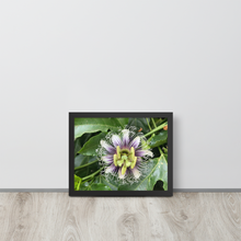 Load image into Gallery viewer, Lilikoi - Framed poster