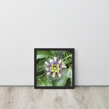 Load image into Gallery viewer, Lilikoi - Framed poster