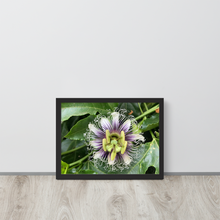 Load image into Gallery viewer, Lilikoi - Framed poster