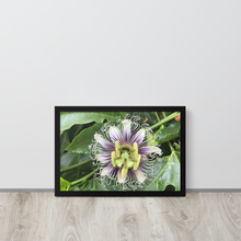 Load image into Gallery viewer, Lilikoi - Framed poster