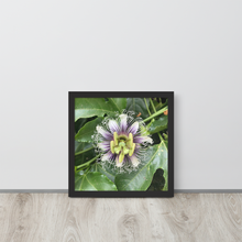 Load image into Gallery viewer, Lilikoi - Framed poster