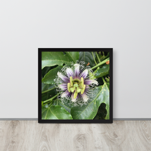 Load image into Gallery viewer, Lilikoi - Framed poster