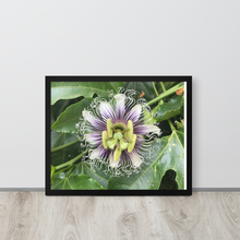 Load image into Gallery viewer, Lilikoi - Framed poster