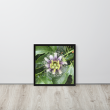 Load image into Gallery viewer, Lilikoi - Framed poster