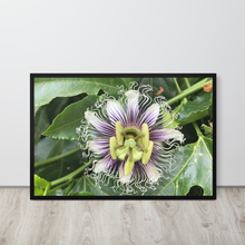 Load image into Gallery viewer, Lilikoi - Framed poster