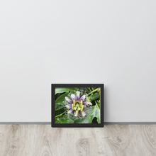 Load image into Gallery viewer, Lilikoi - Framed poster