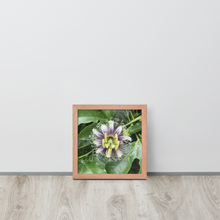 Load image into Gallery viewer, Lilikoi - Framed poster