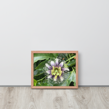 Load image into Gallery viewer, Lilikoi - Framed poster