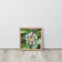 Load image into Gallery viewer, Lilikoi - Framed poster