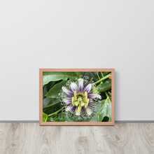 Load image into Gallery viewer, Lilikoi - Framed poster