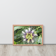 Load image into Gallery viewer, Lilikoi - Framed poster