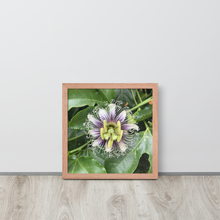 Load image into Gallery viewer, Lilikoi - Framed poster