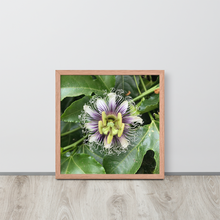 Load image into Gallery viewer, Lilikoi - Framed poster