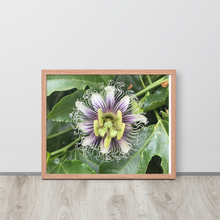 Load image into Gallery viewer, Lilikoi - Framed poster