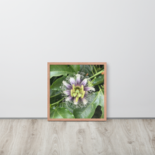 Load image into Gallery viewer, Lilikoi - Framed poster