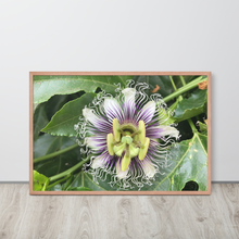 Load image into Gallery viewer, Lilikoi - Framed poster