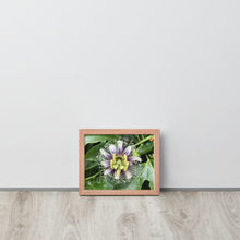 Load image into Gallery viewer, Lilikoi - Framed poster