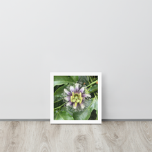 Load image into Gallery viewer, Lilikoi - Framed poster