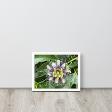 Load image into Gallery viewer, Lilikoi - Framed poster