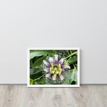 Load image into Gallery viewer, Lilikoi - Framed poster