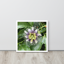 Load image into Gallery viewer, Lilikoi - Framed poster