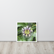 Load image into Gallery viewer, Lilikoi - Framed poster