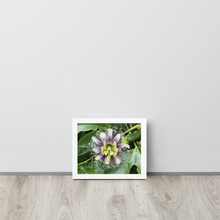 Load image into Gallery viewer, Lilikoi - Framed poster