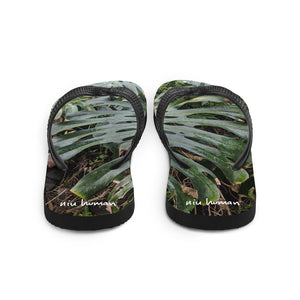 Monstera Flip-Flops