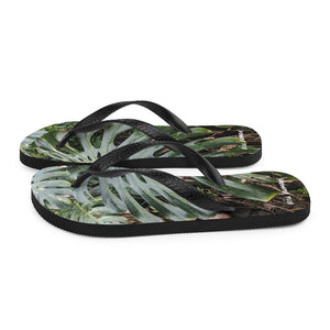 Monstera Flip-Flops